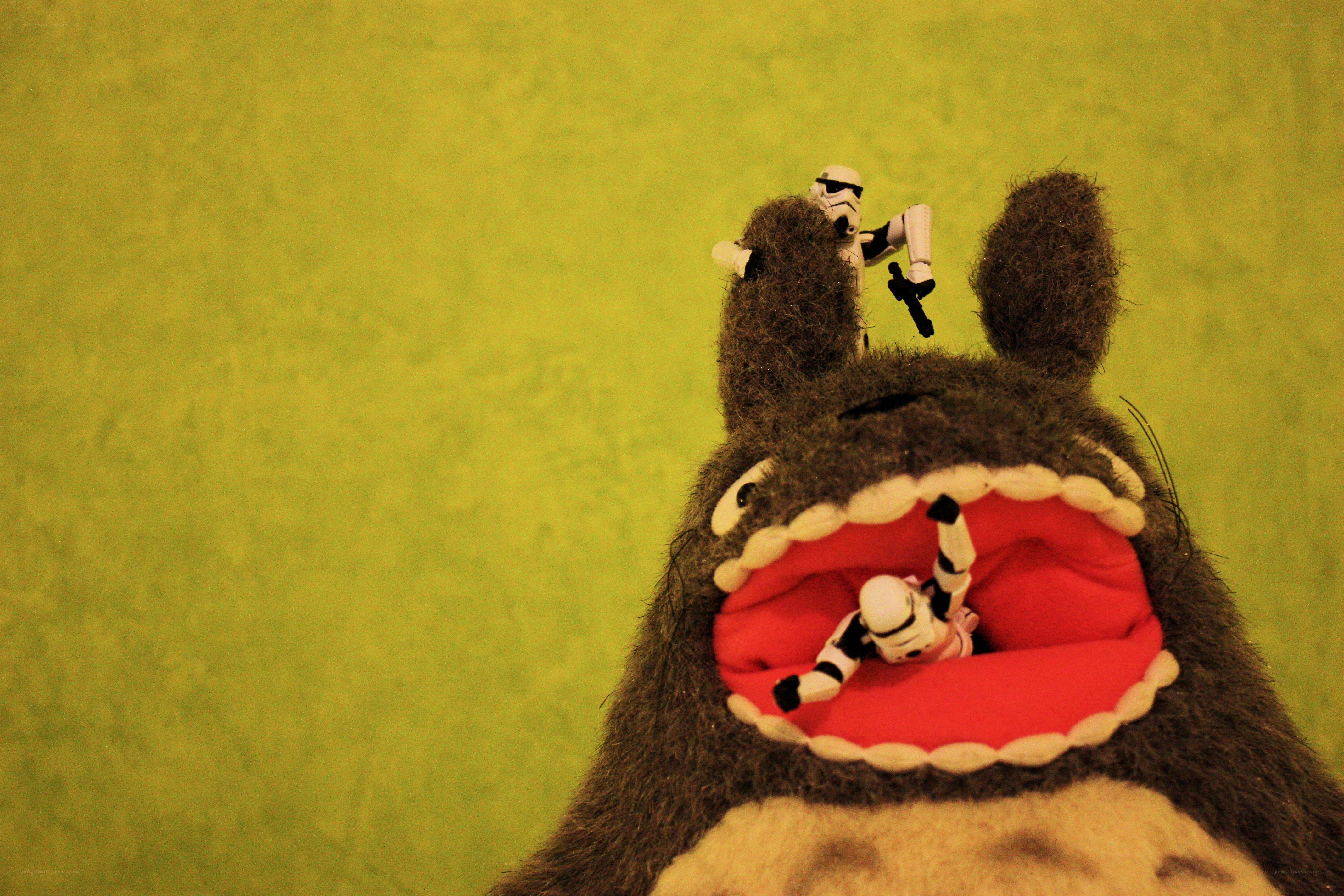 Stormtroopers on Totoro