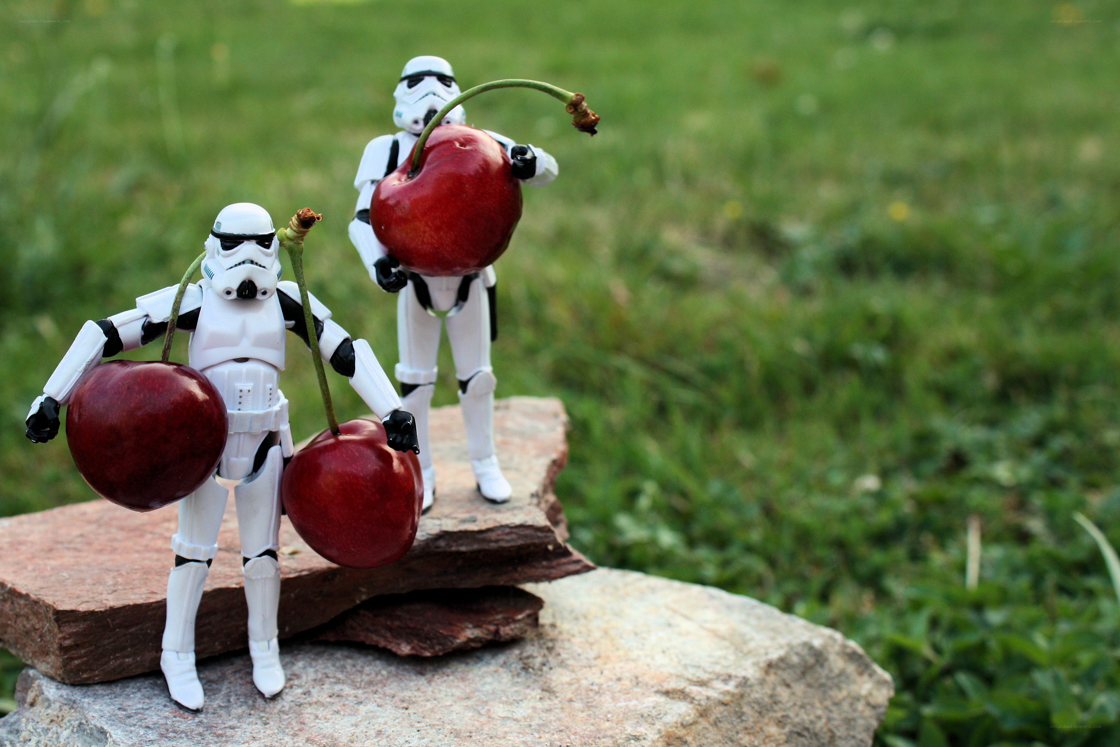Stormtroopers with cherries