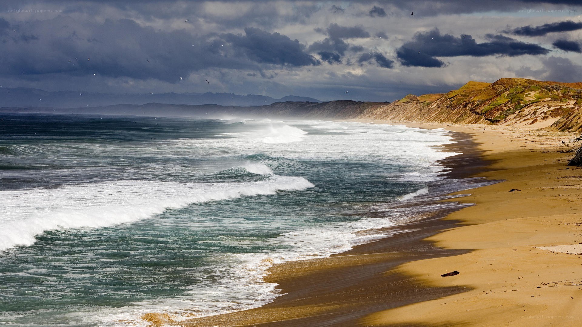 Stormy beach with crashing waves