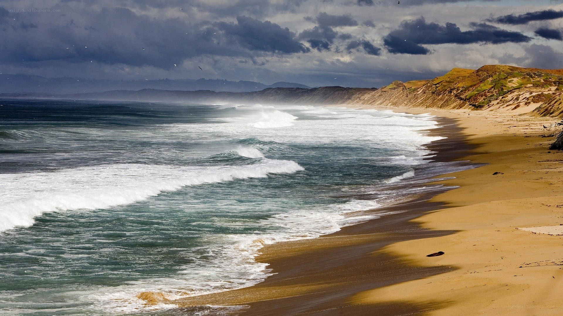 stormy beach with crashing waves