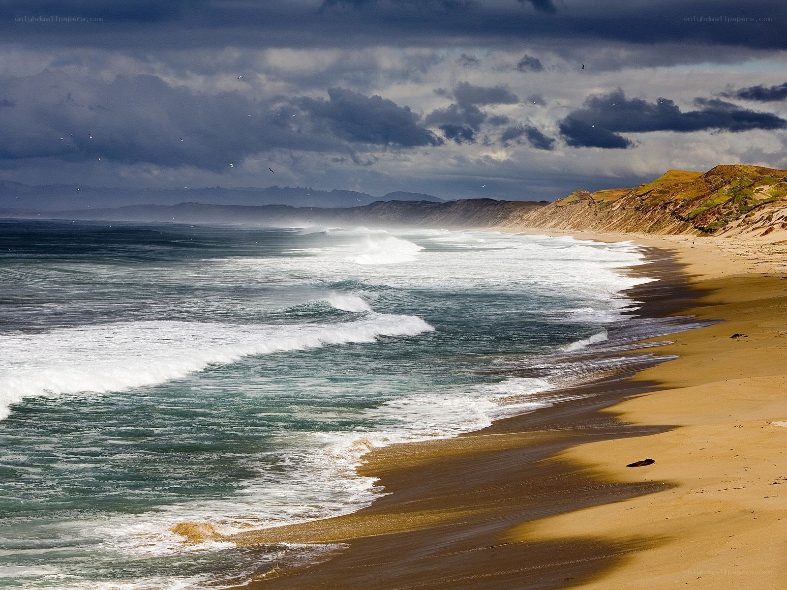 Stormy beach with crashing waves