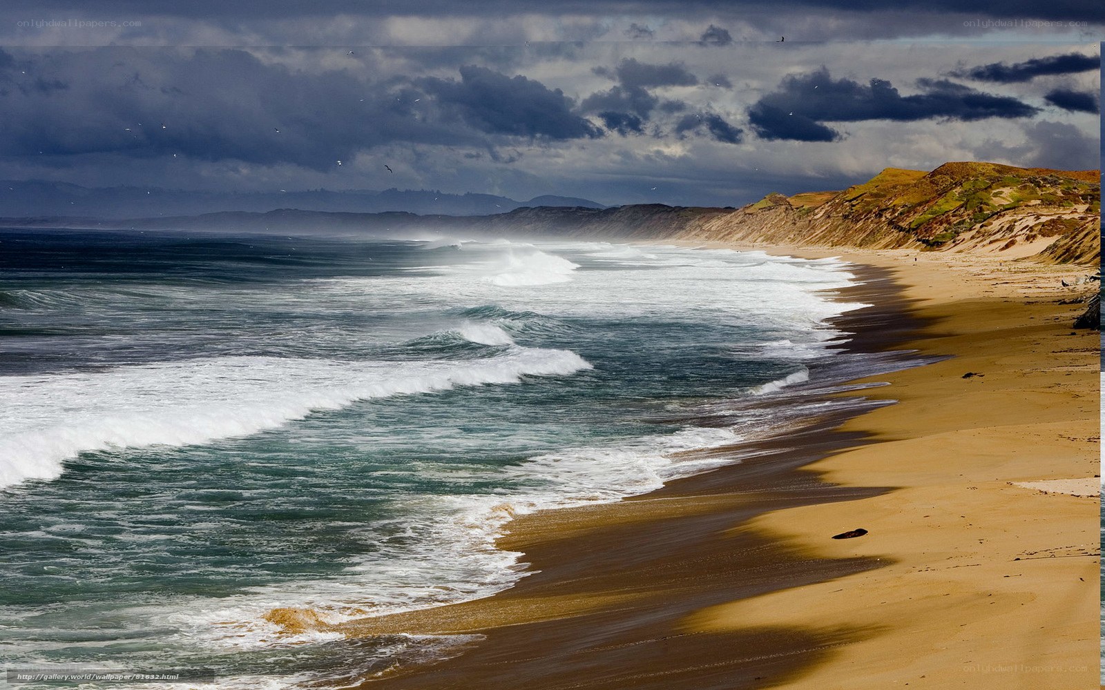 Stormy beach with crashing waves