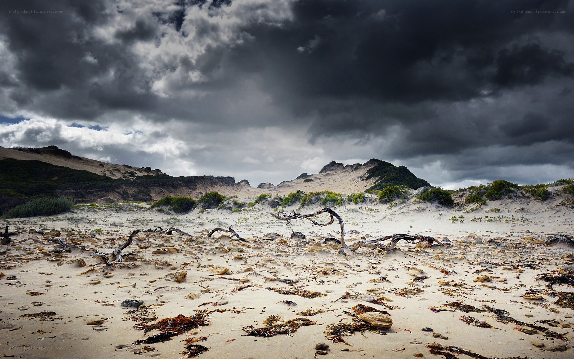 Stormy beach with driftwood