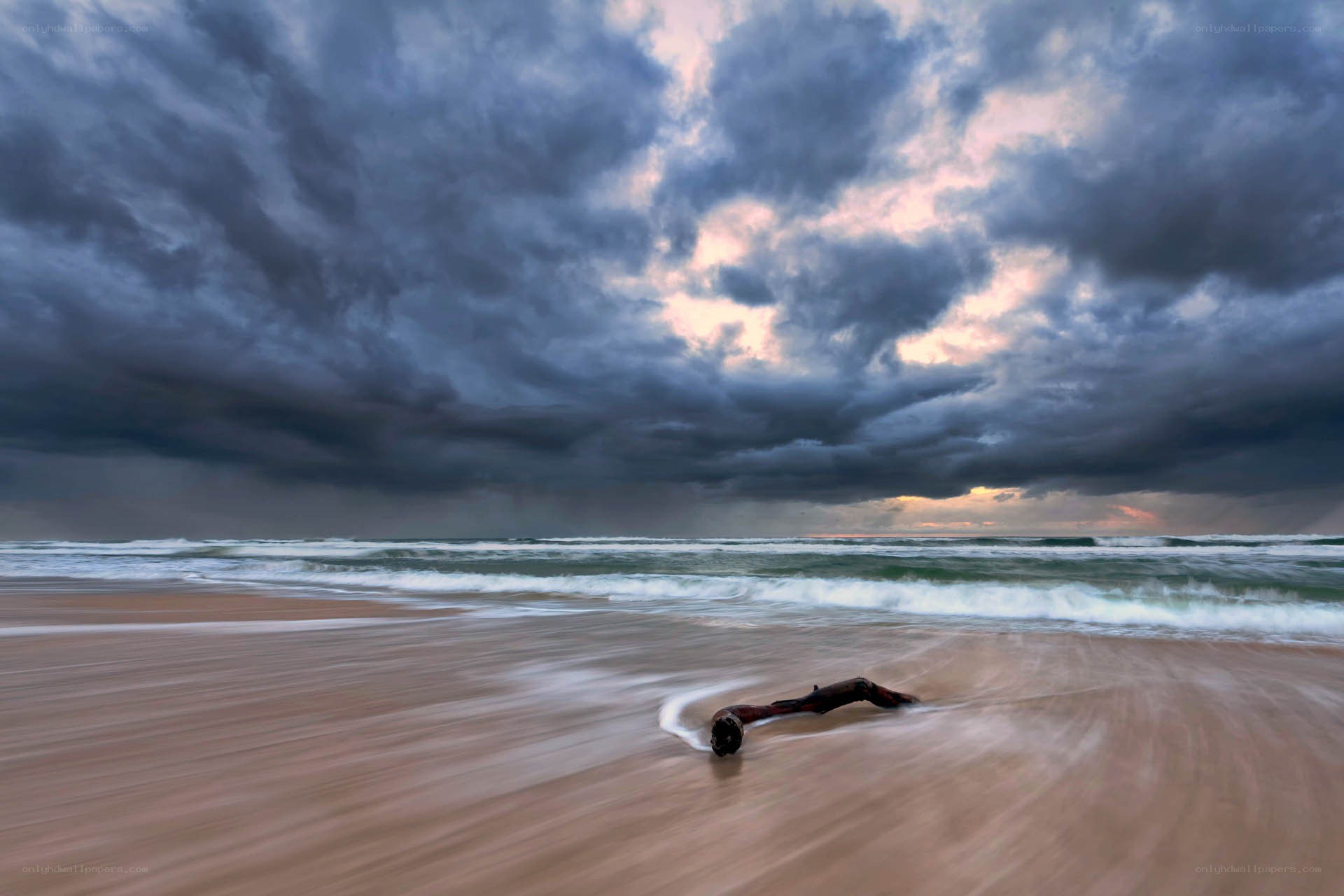 Stormy beach with driftwood