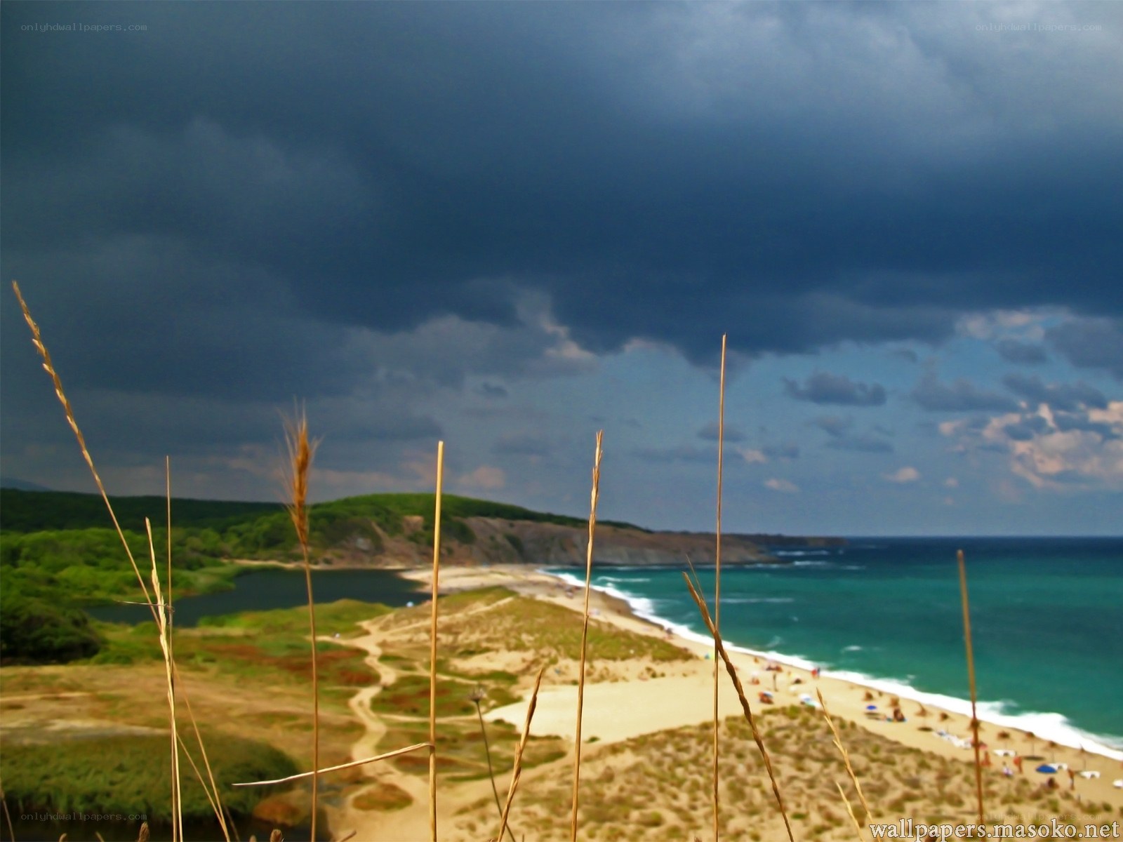 Stormy beach with dunes