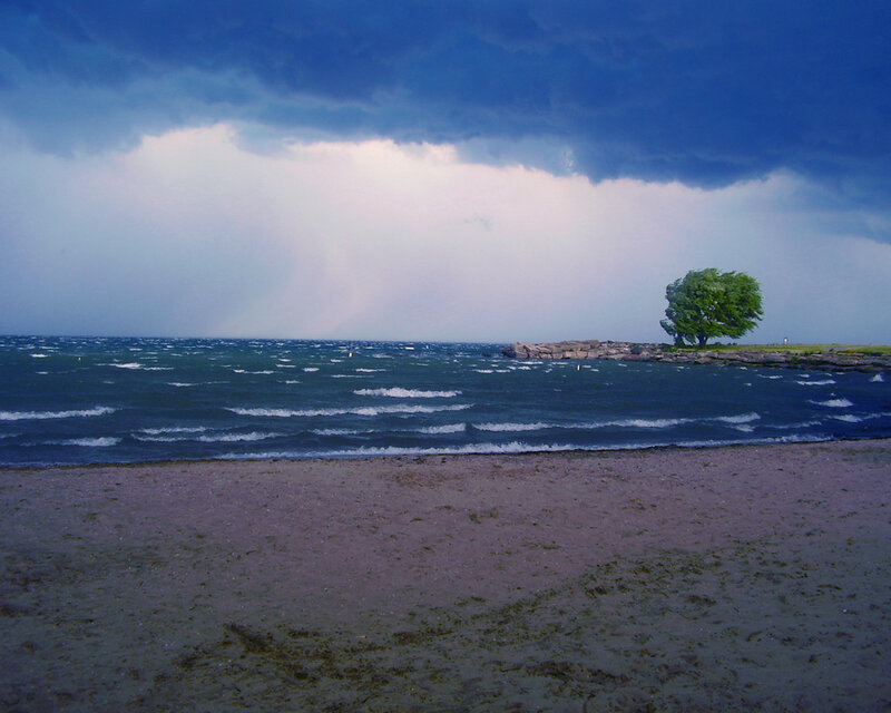 Stormy beach with lone tree
