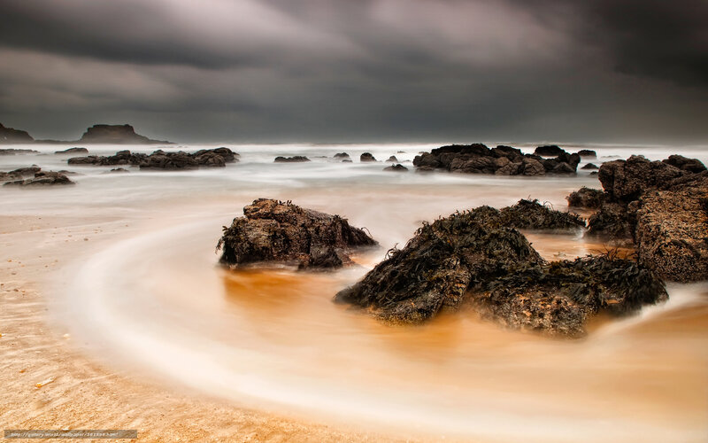 Stormy beach with rocks
