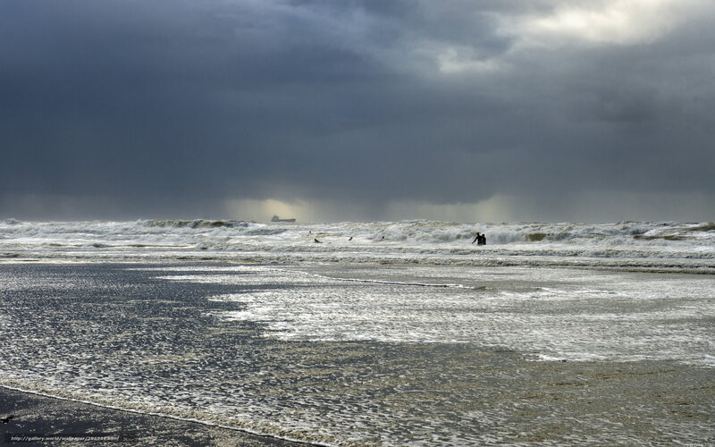 Stormy beach with surfers