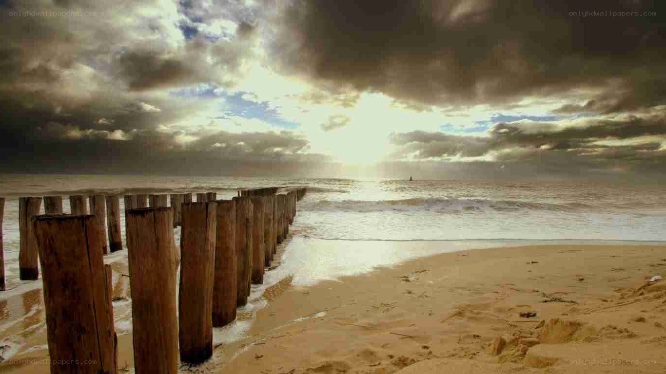 Stormy beach with wooden posts