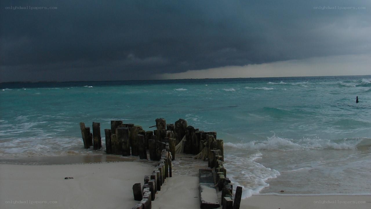 Stormy beach with wooden posts
