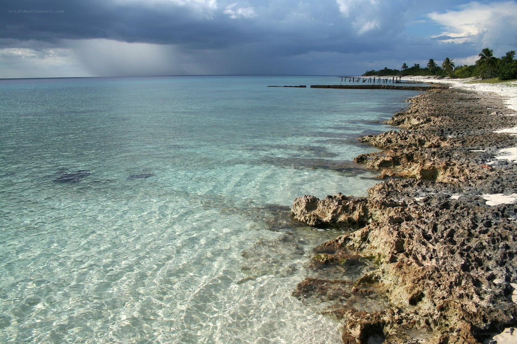 Stormy coast with clear water