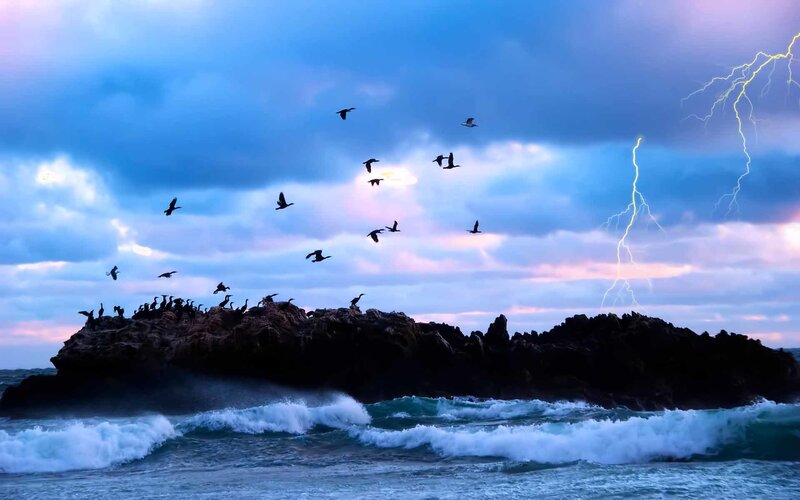 Stormy coast with lightning and birds