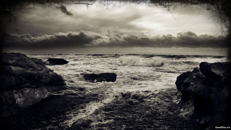 Stormy coastal waves