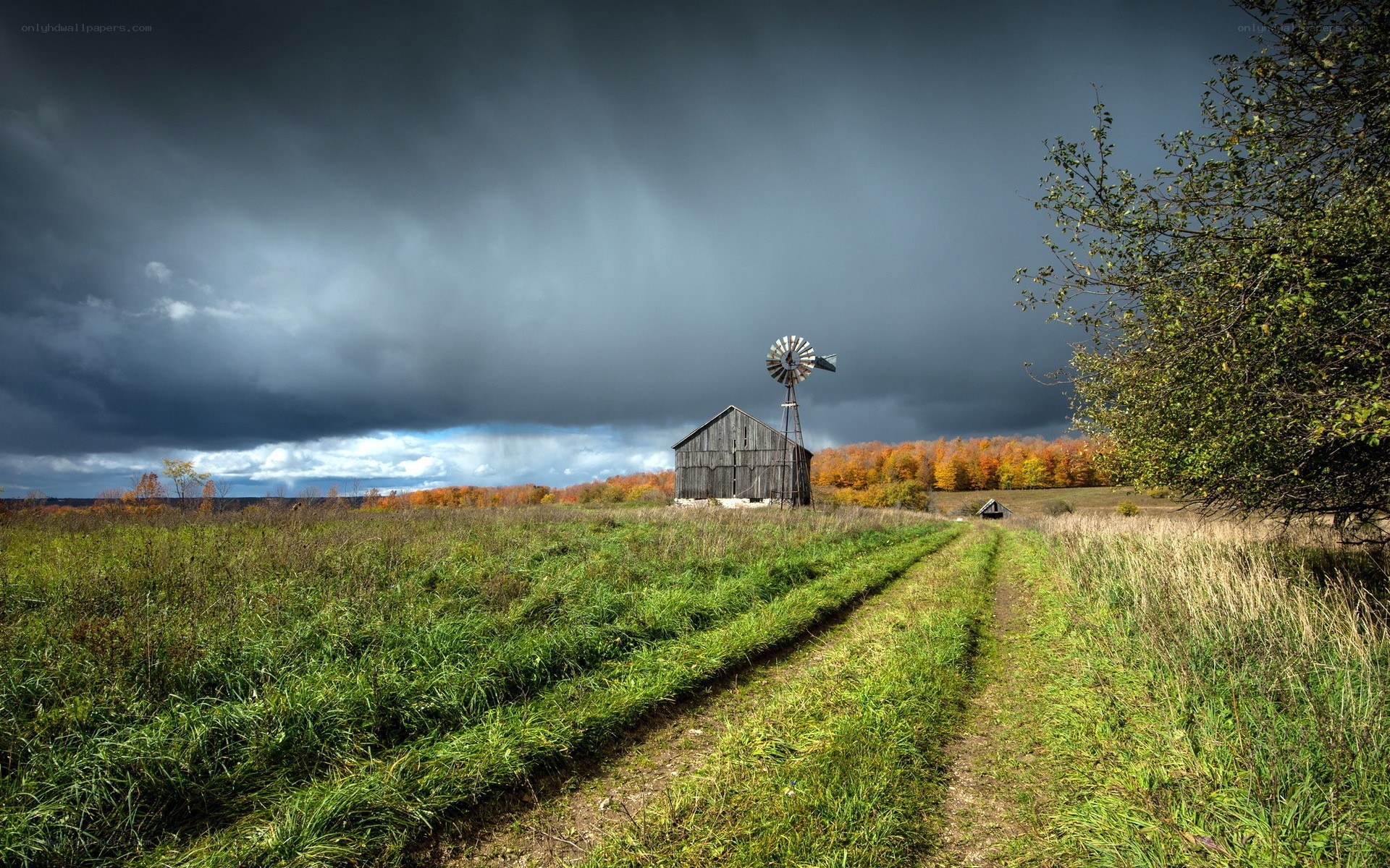 Stormy farm with windmill