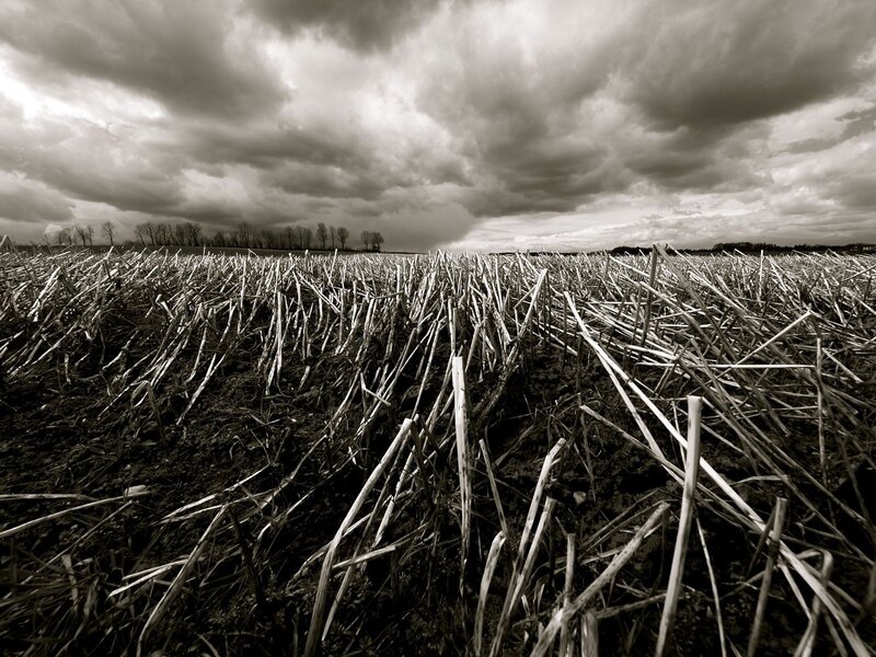 Stormy field after harvest