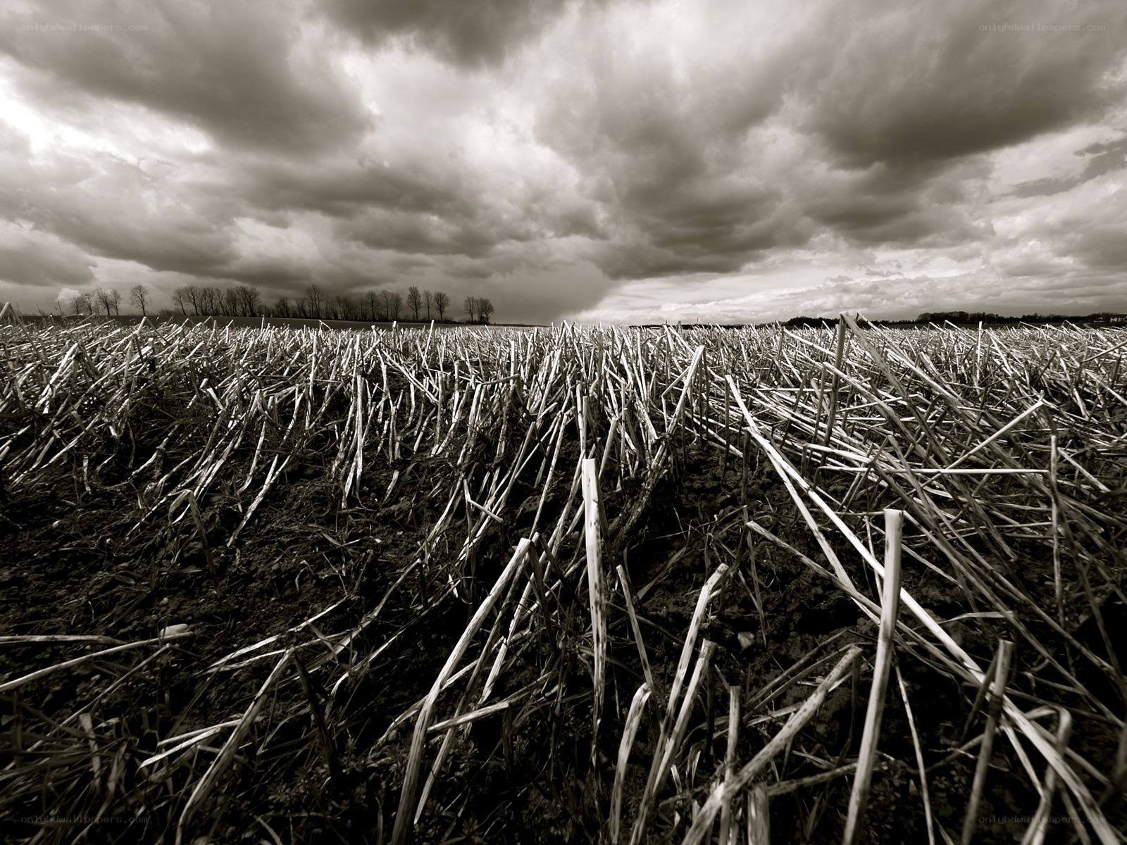 Stormy field after harvest