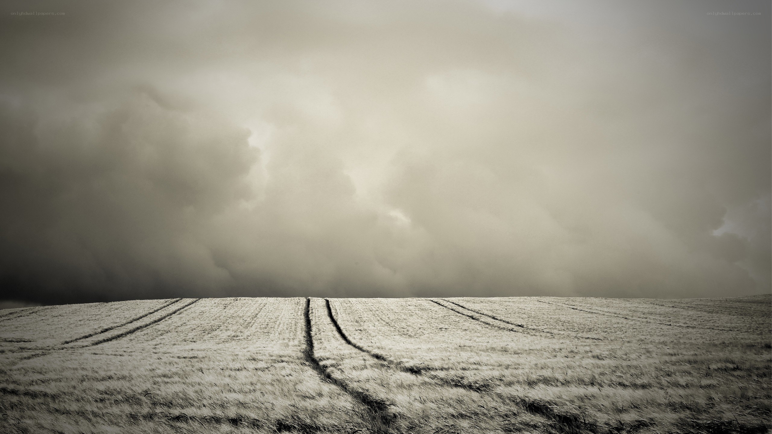 Stormy Field Landscape