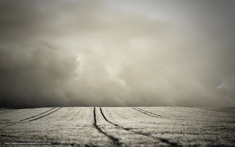 Stormy Field Landscape