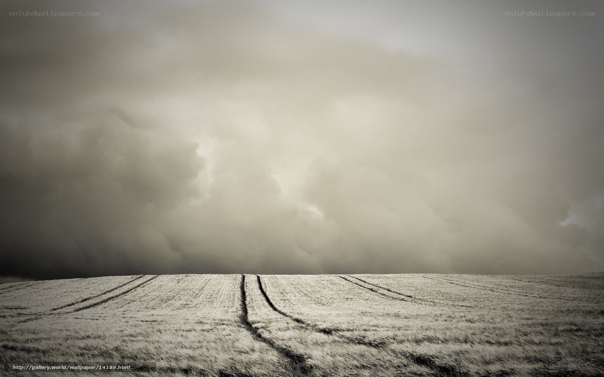 Stormy Field Landscape