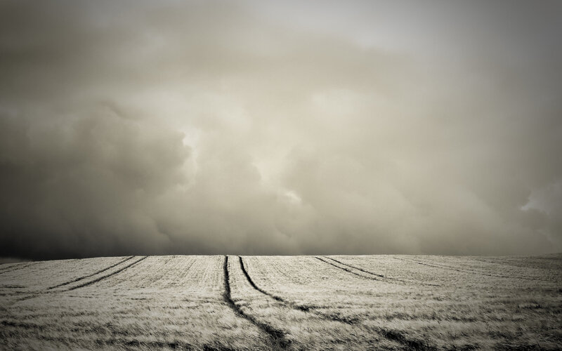 Stormy field under cloudy sky