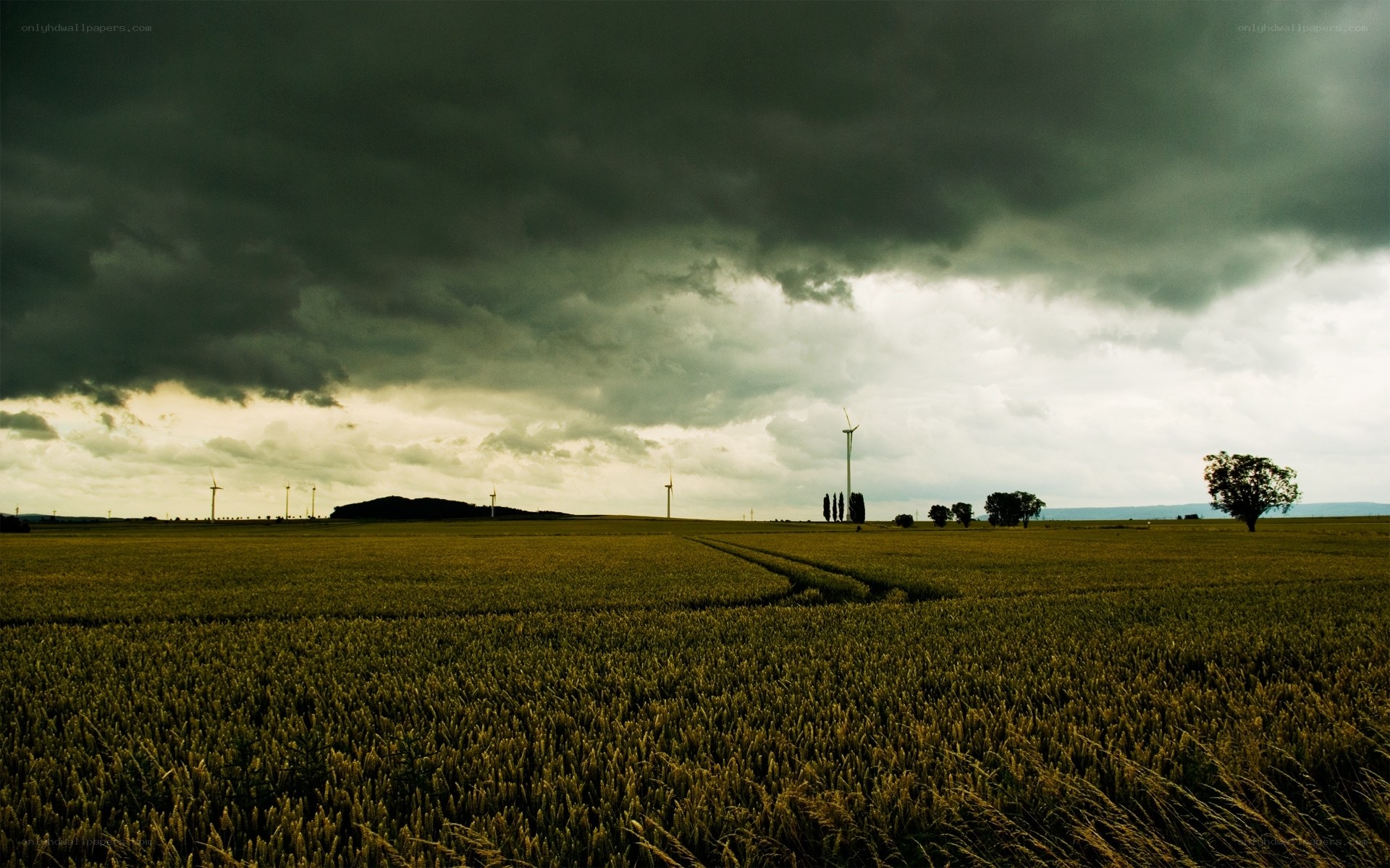 Stormy field with wind turbines