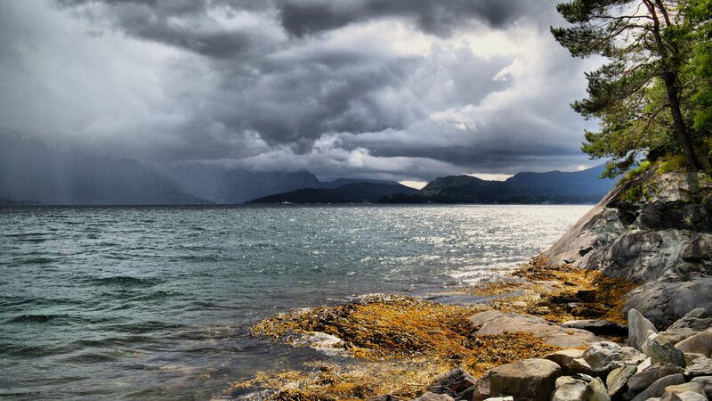 Stormy Fjord Landscape — Gray