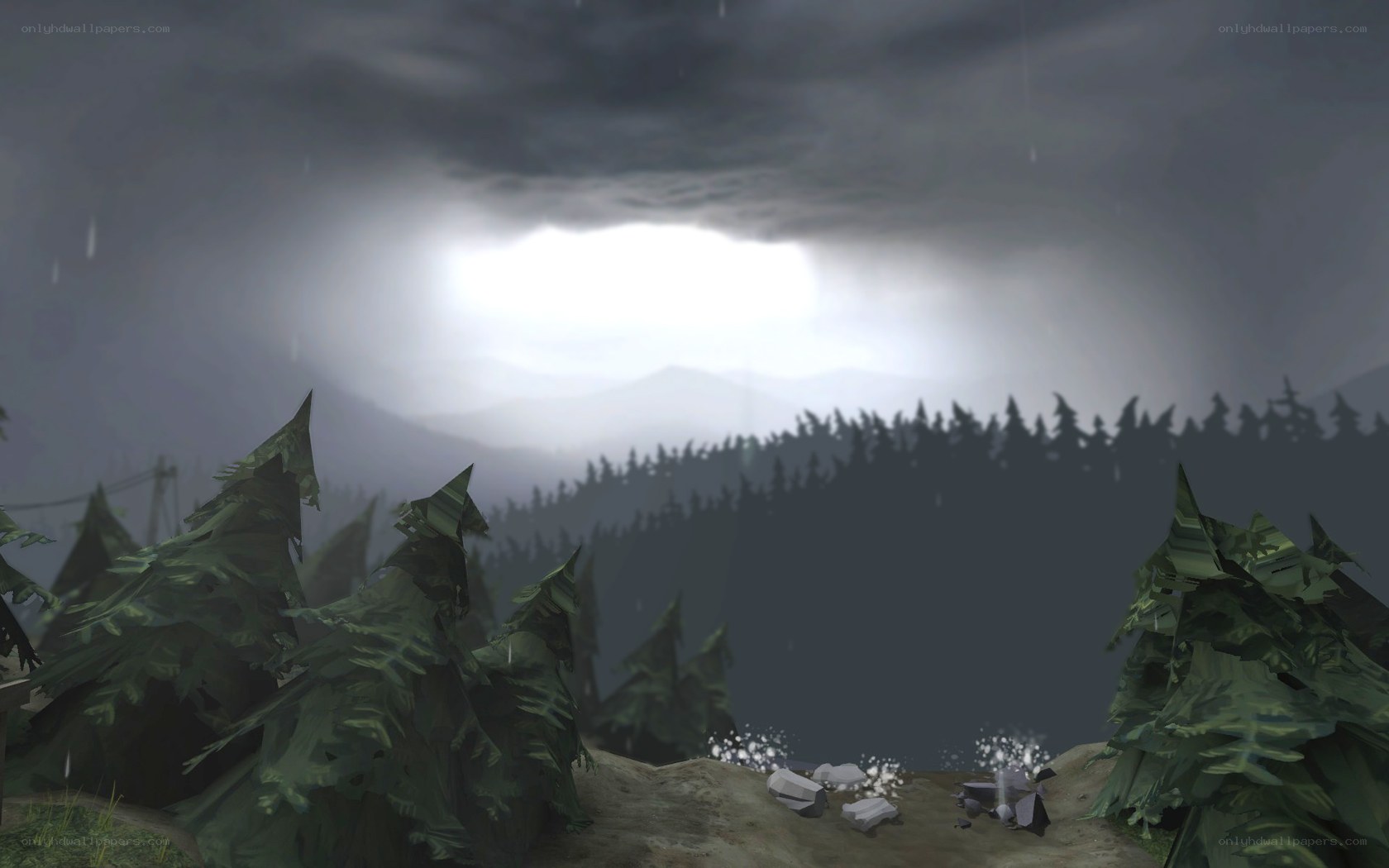 Stormy forest landscape