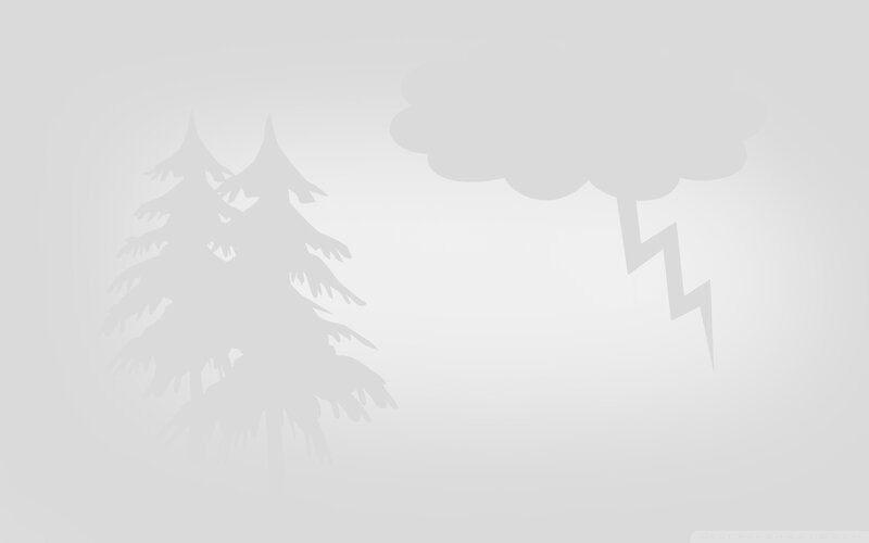 stormy forest scene