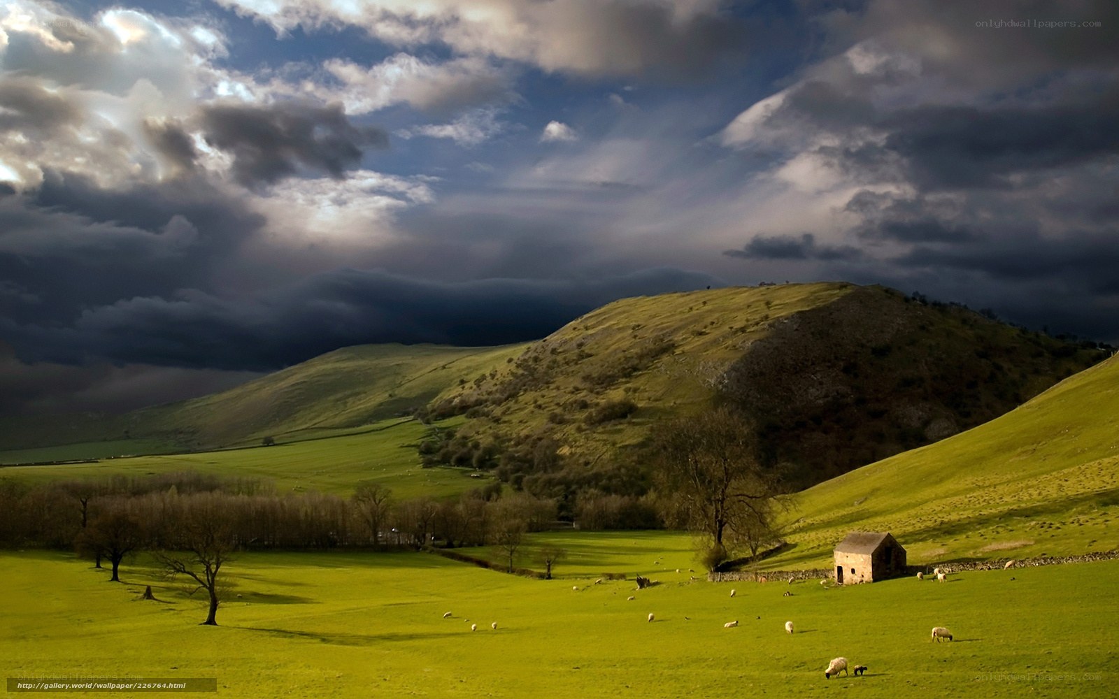 Stormy hills with grazing sheep