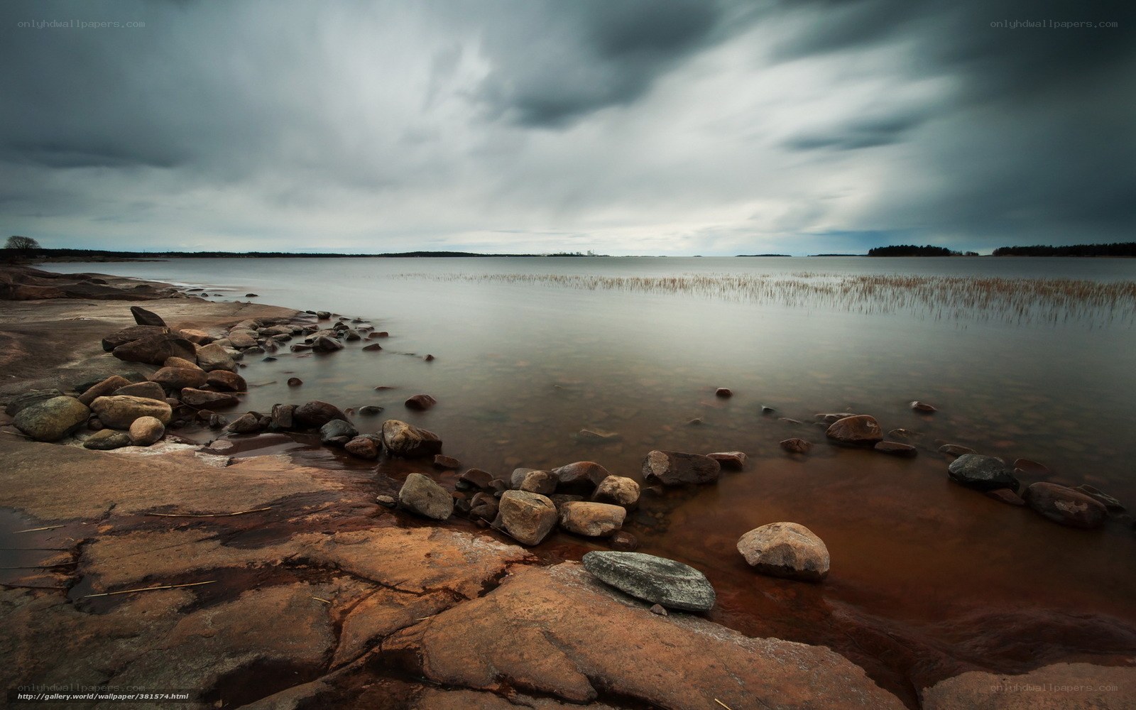 Stormy lake shore landscape