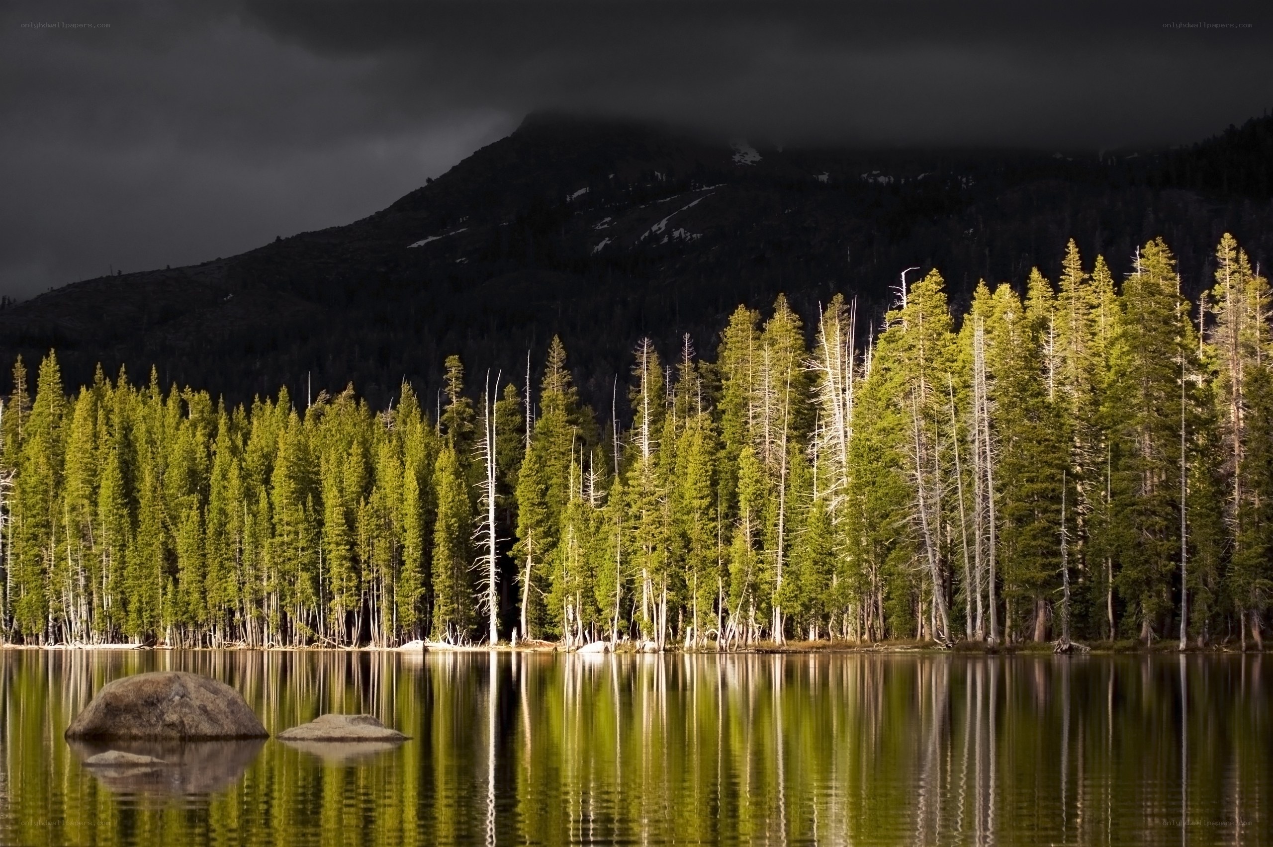 Stormy lake with forest reflection