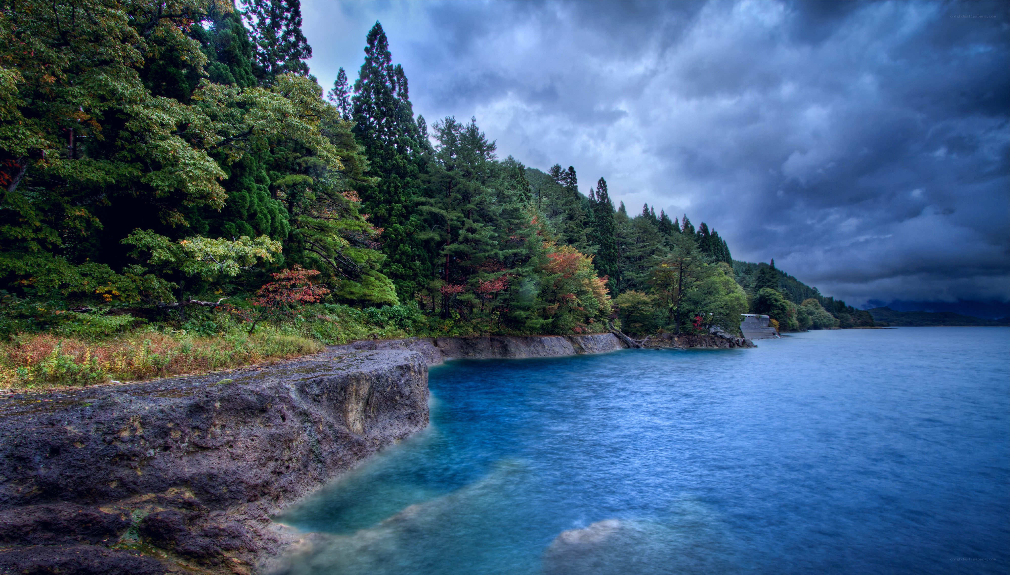 Stormy lake with forested shore
