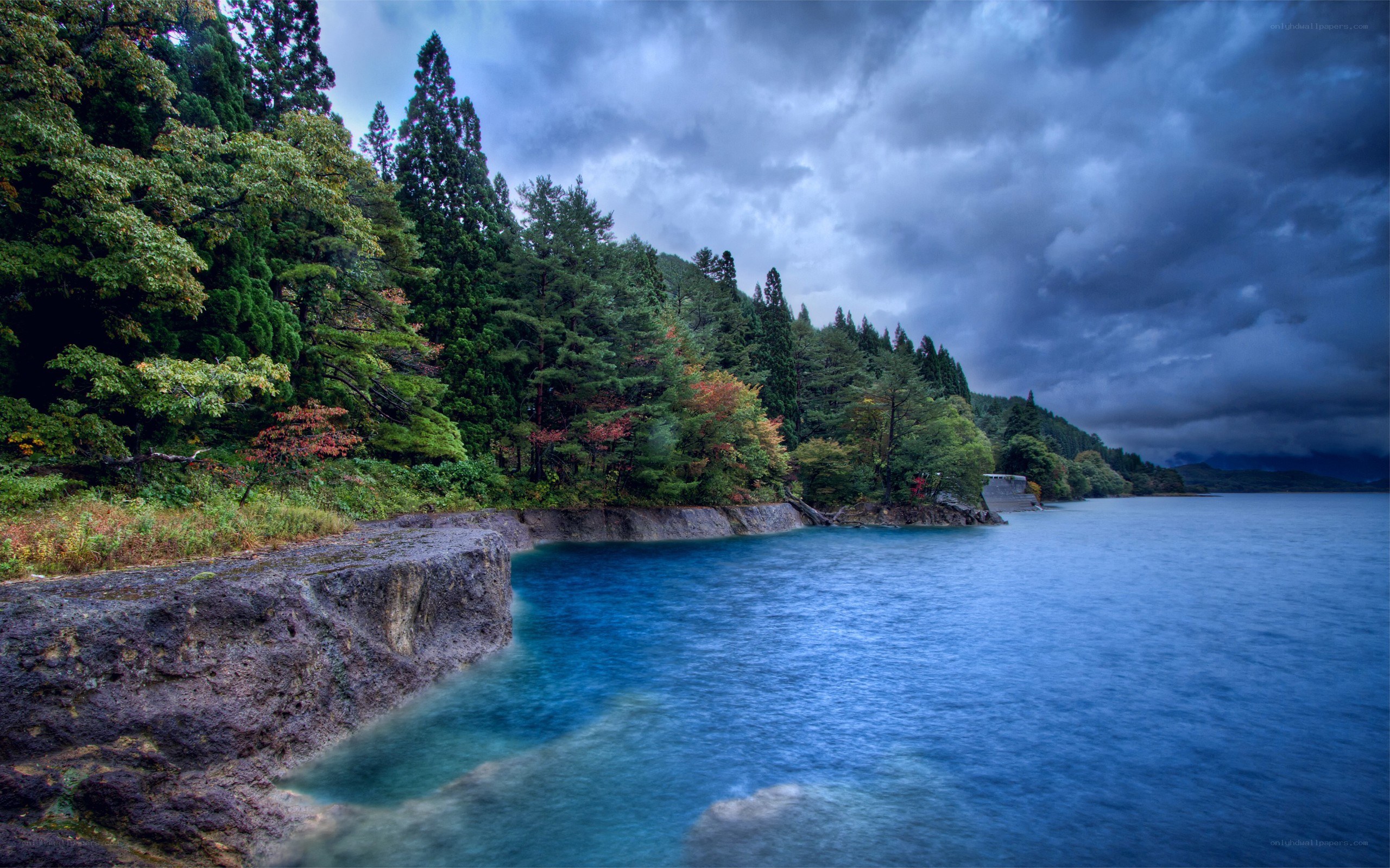 Stormy lake with forested shore