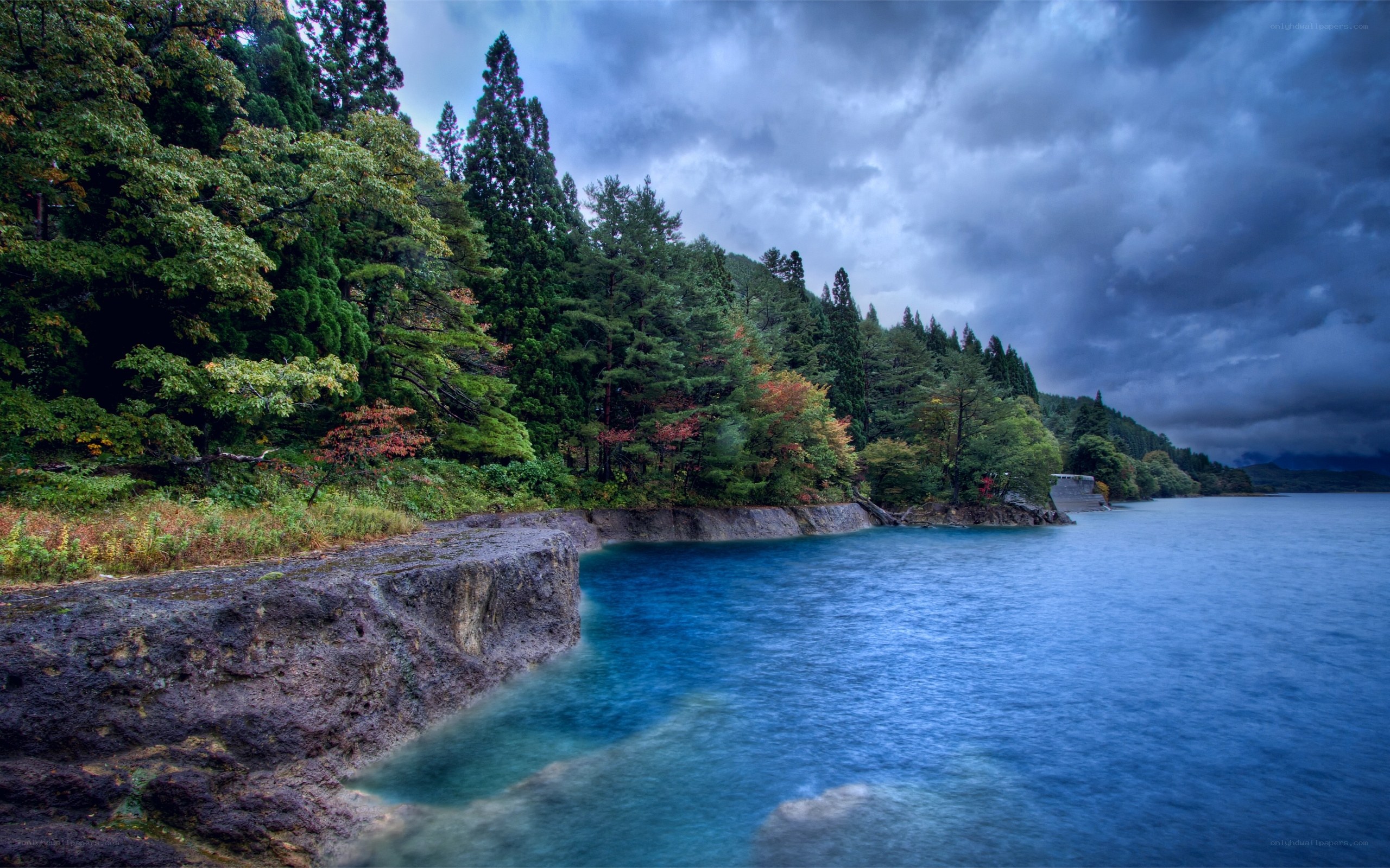 Stormy lake with forested shore