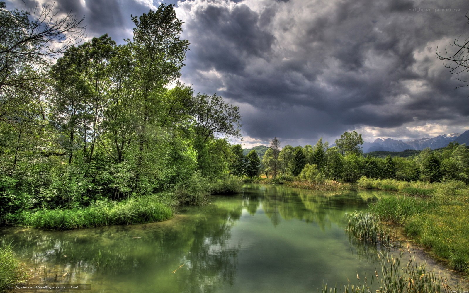 Stormy lake with green trees