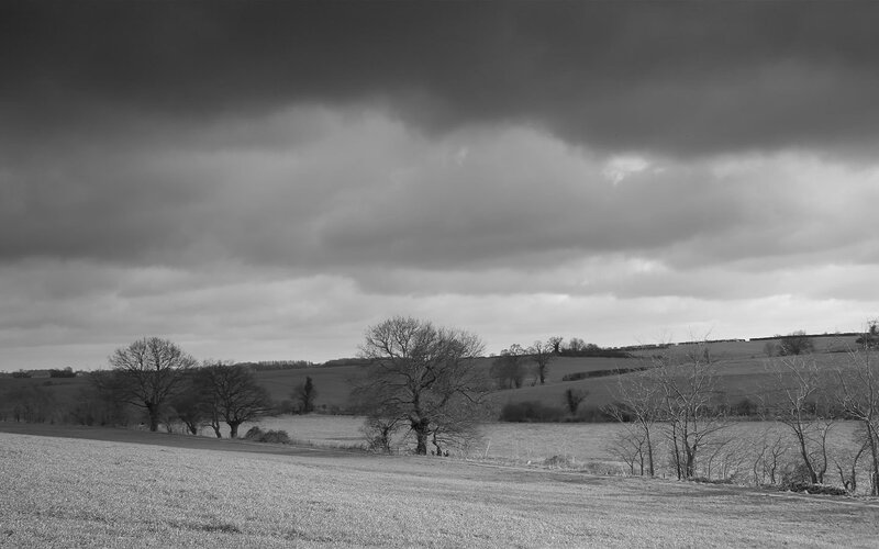Stormy landscape with bare trees