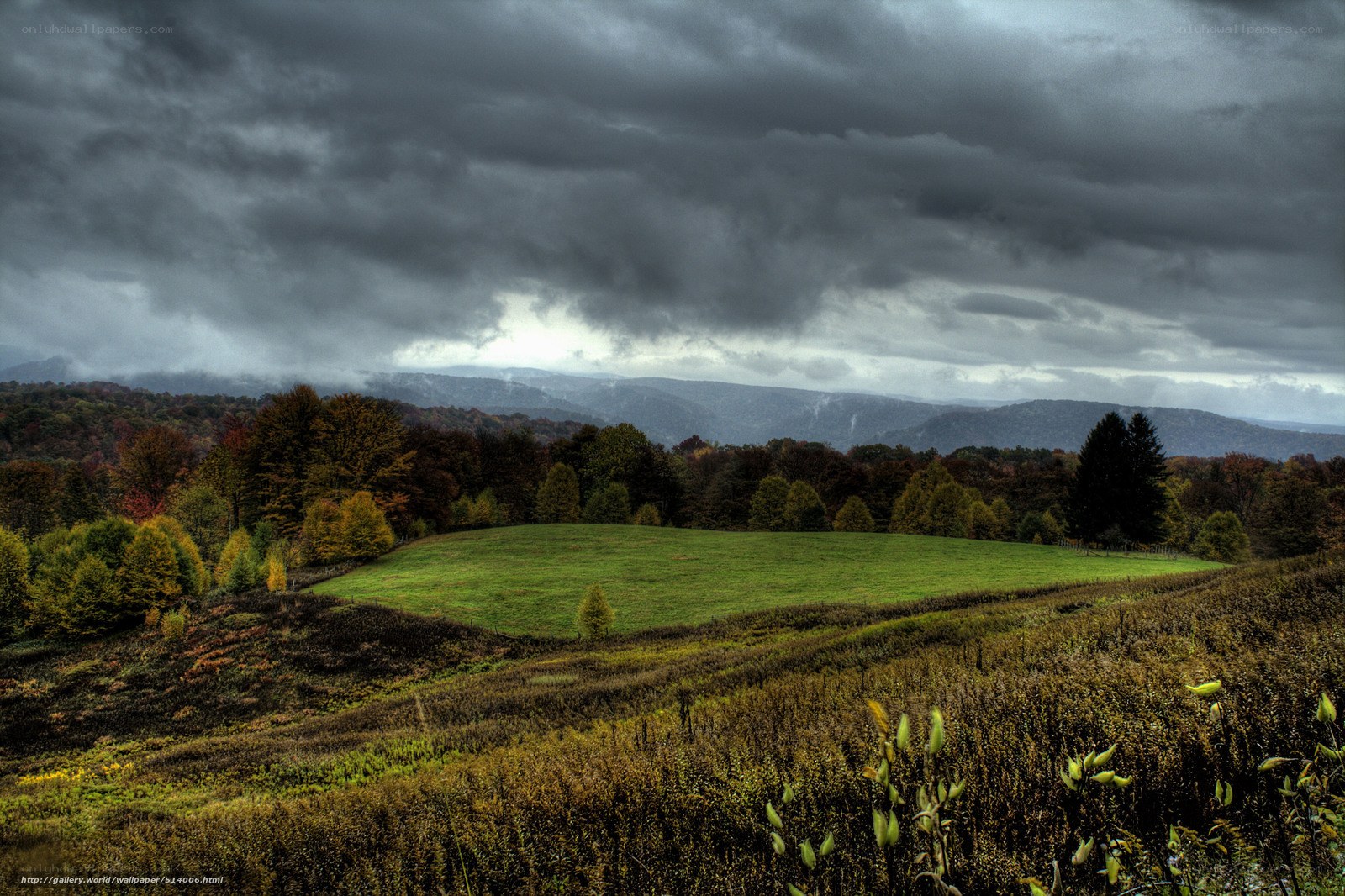 Stormy landscape with green field