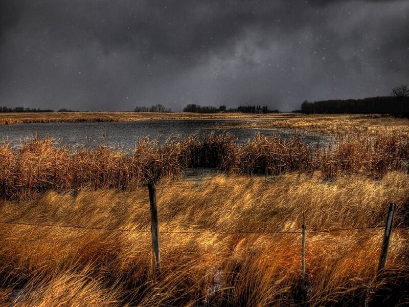Stormy marsh landscape