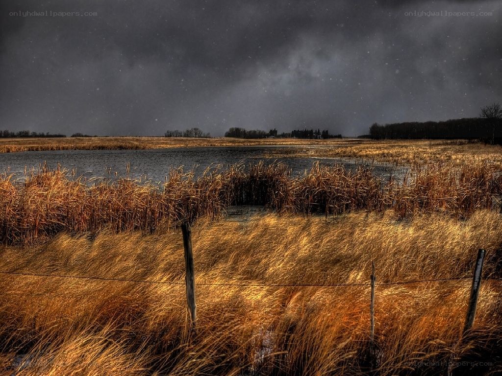 Stormy marsh landscape