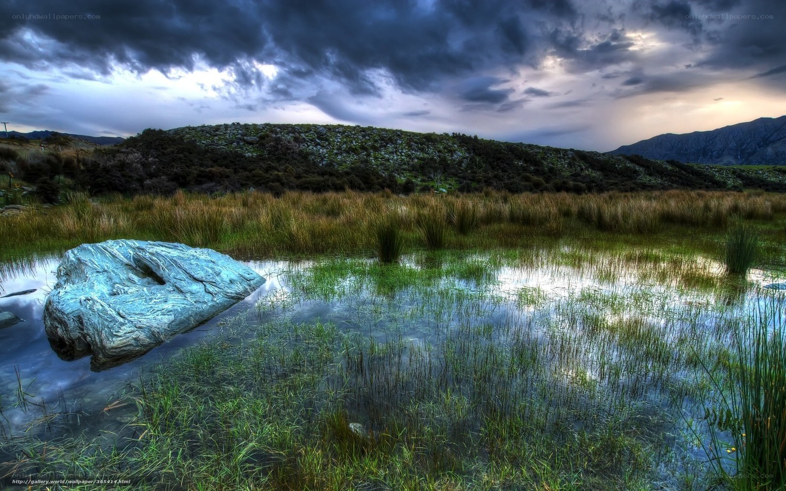 Stormy Marsh Landscape