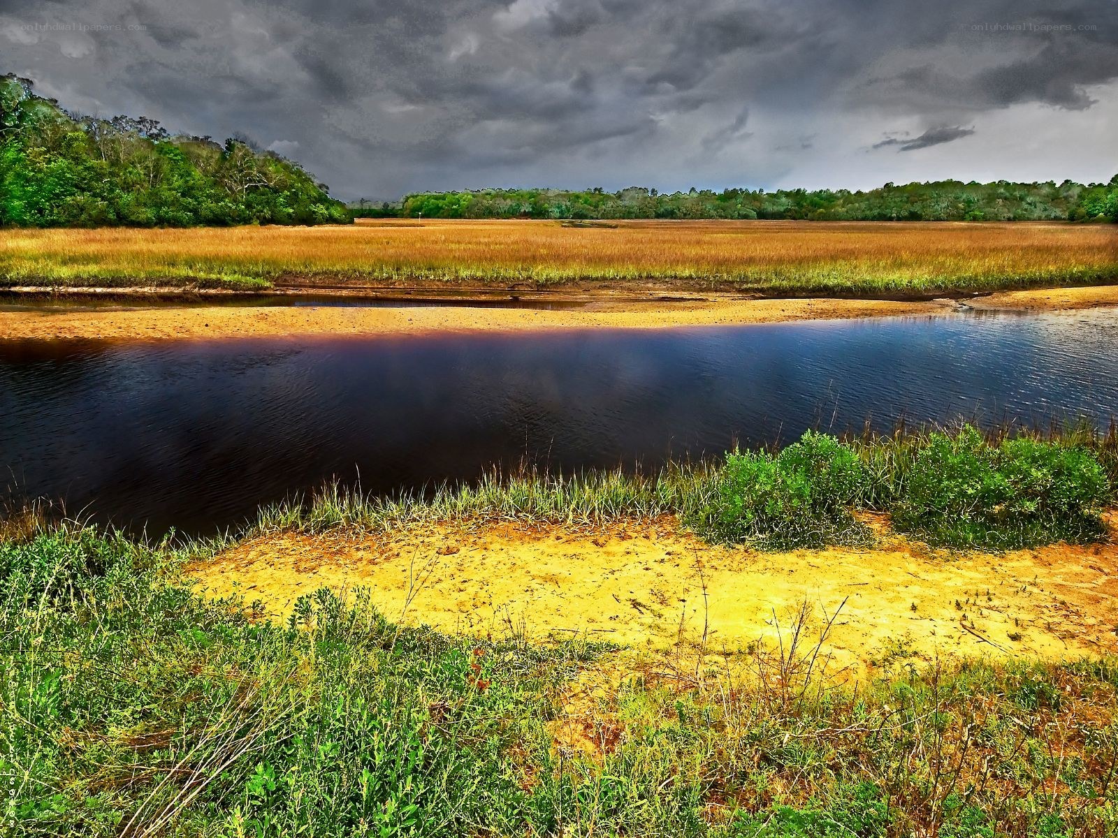 Stormy marshland with river