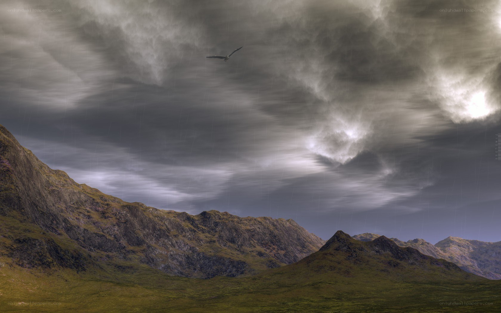 Stormy mountains with flying bird