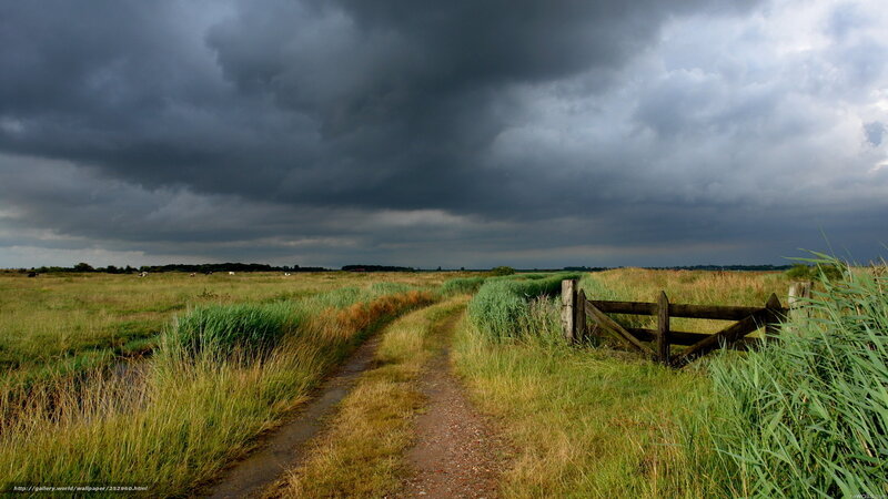 Stormy path through a marsh