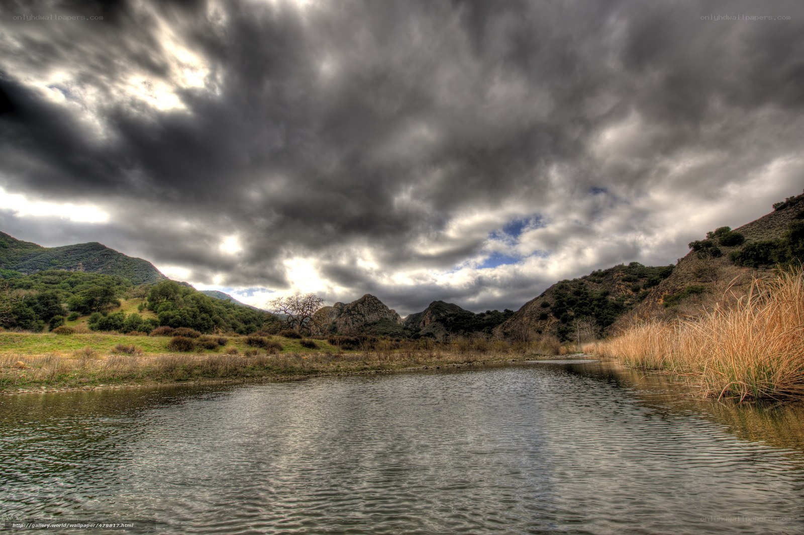 Stormy river in mountain valley