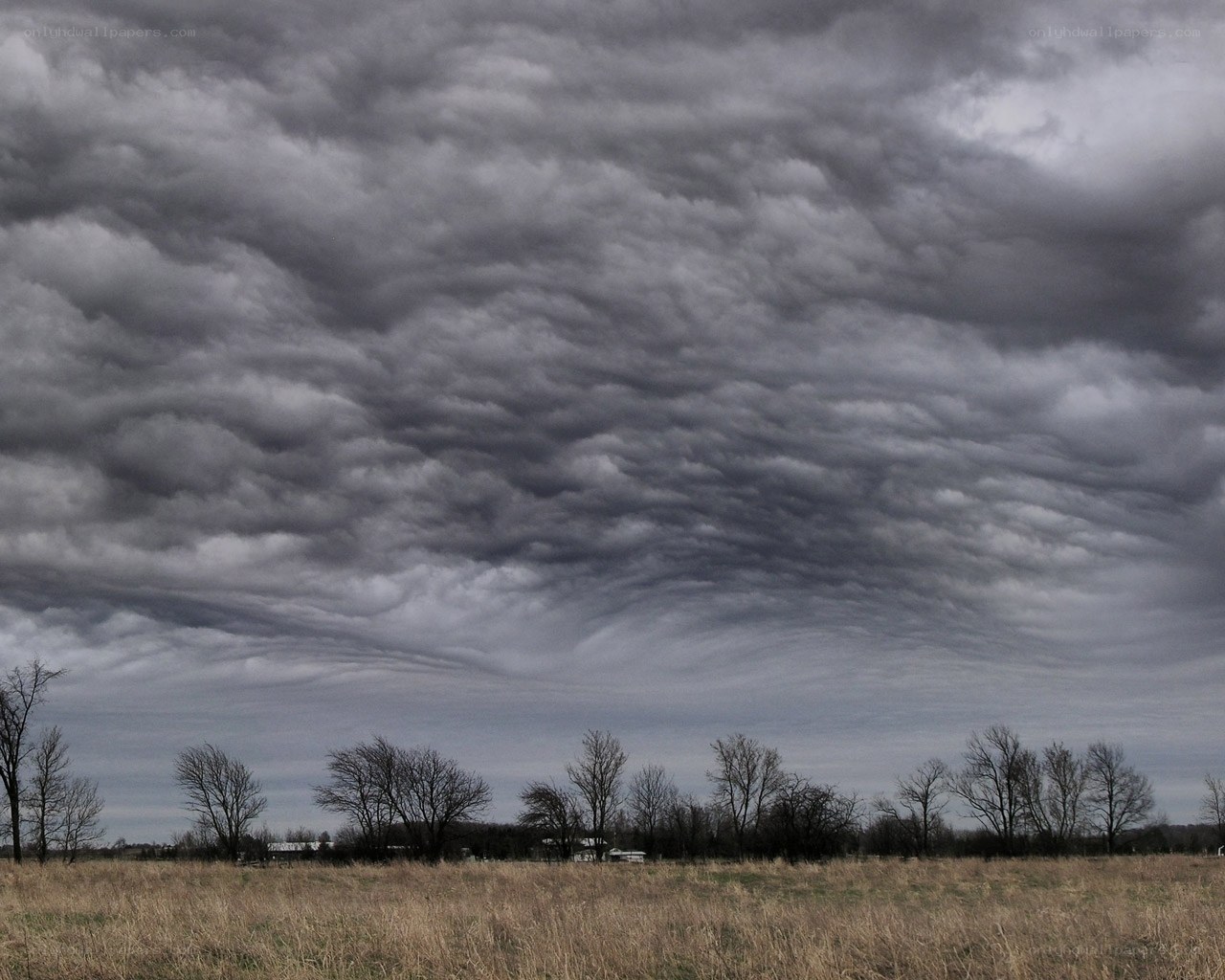 Stormy sky over a field
