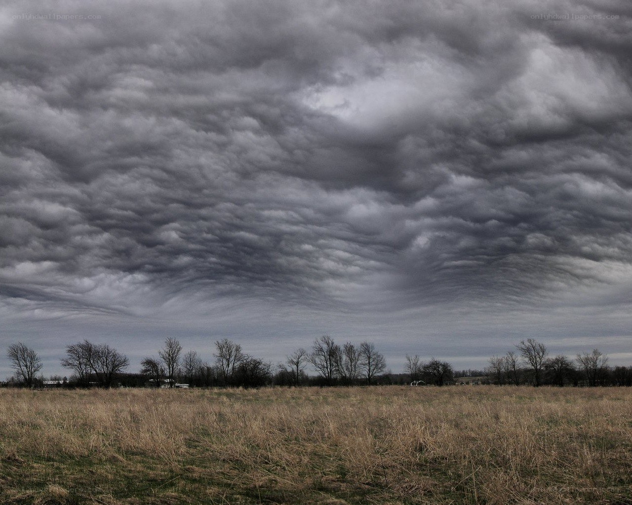 Stormy sky over a field