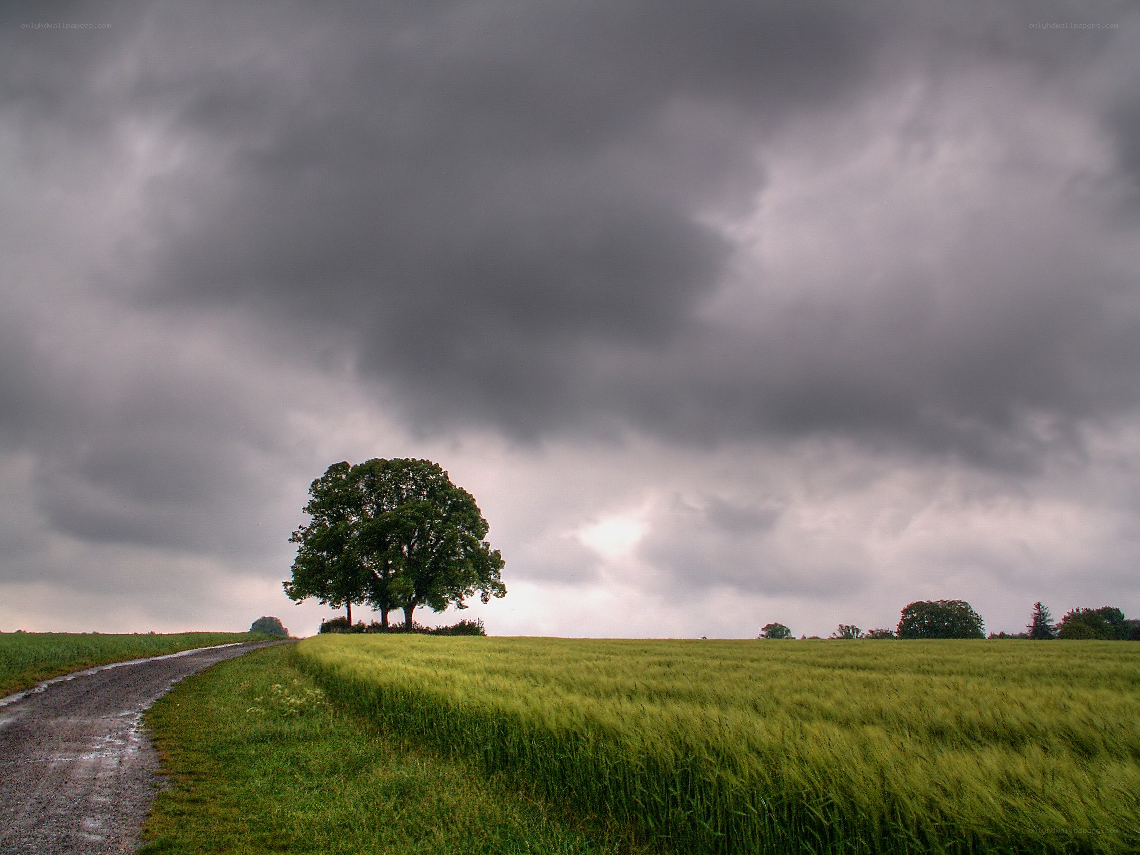 Stormy sky over a green field