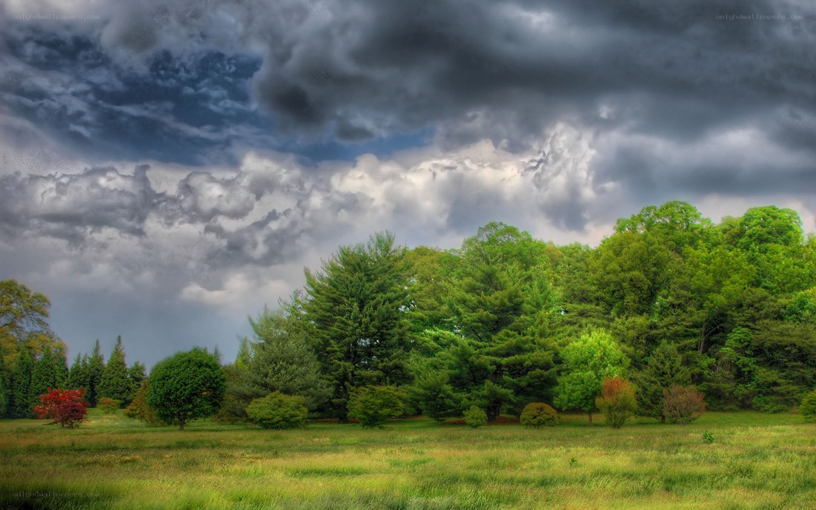 Stormy sky over a green field