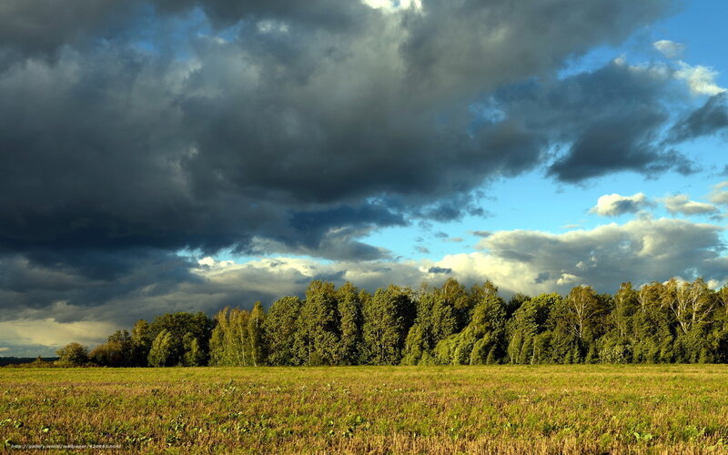 Stormy sky over a green field