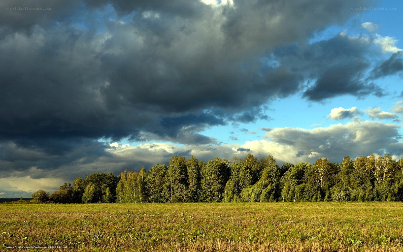 Stormy sky over a green field